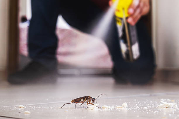 Insect Control in Selbyville, DE